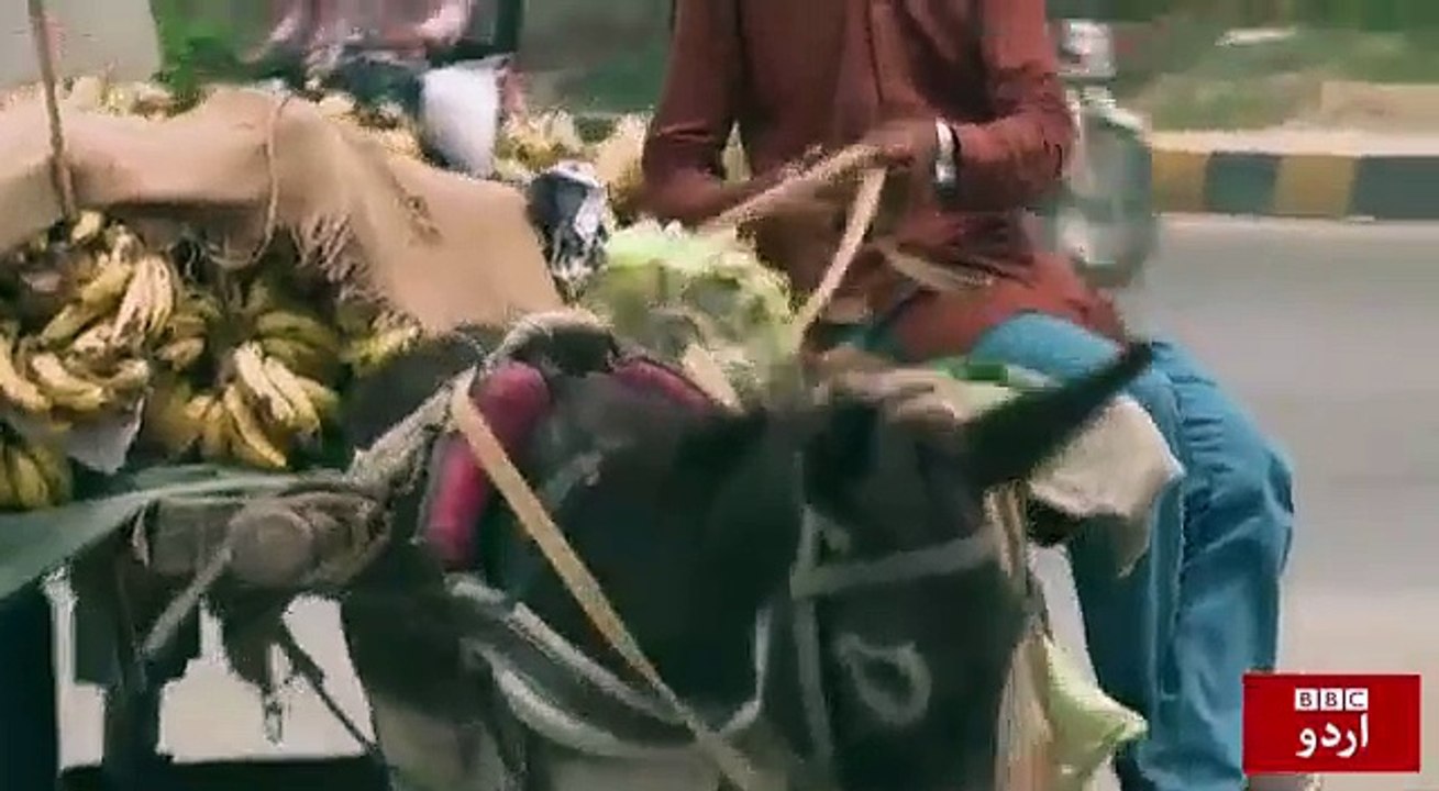 Fruit seller boy on BBC