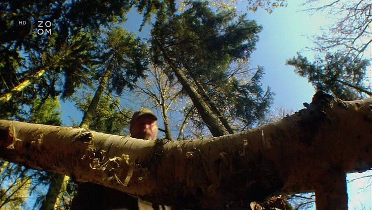 Příroda bez hranic -dokument  (www.Dokumenty.tv)