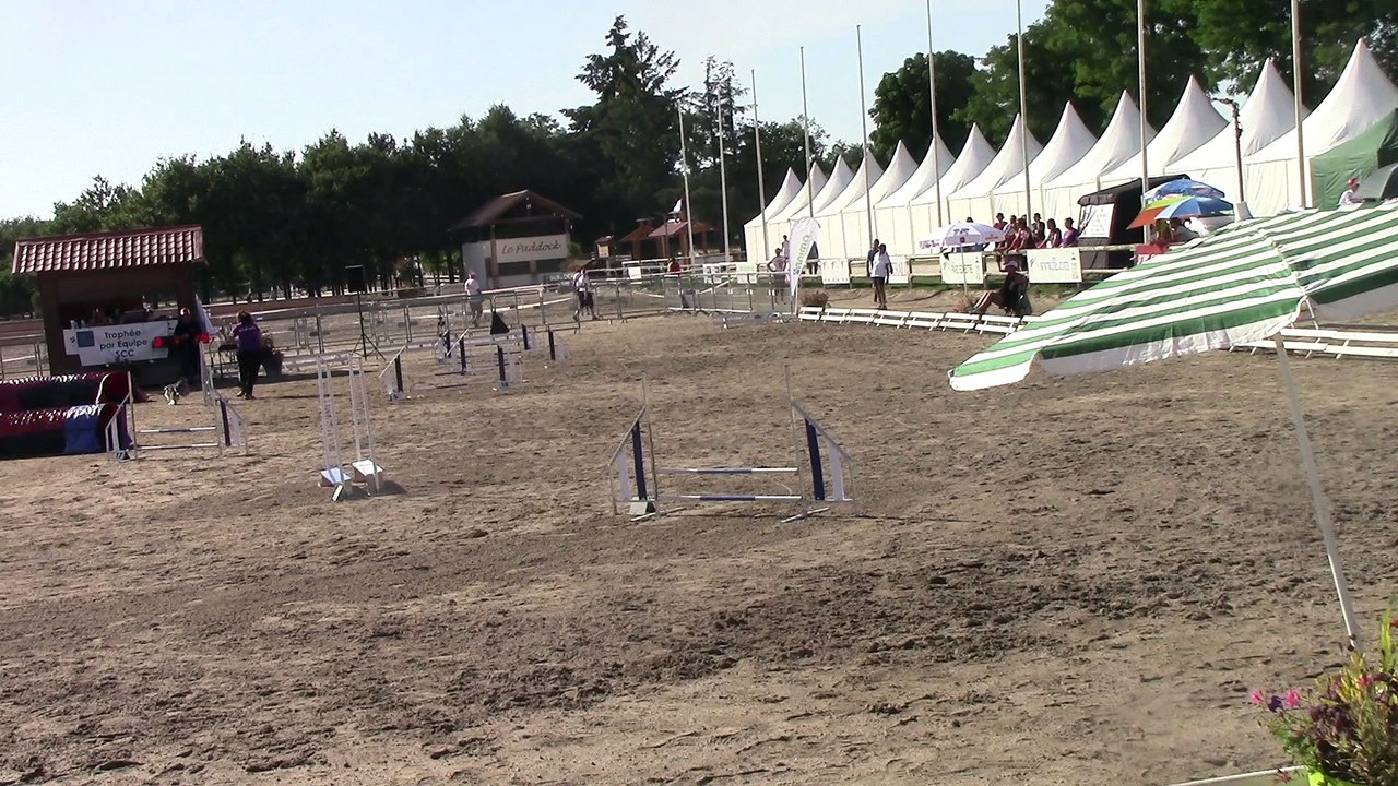 Cani Balles Lamotte Beuvron