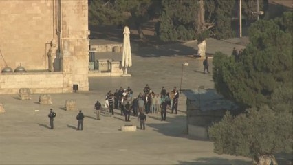 مئات المستوطنين يقتحمون الأقصى بحماية الاحتلال