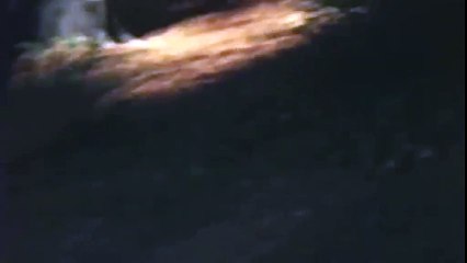 Les Démons de l'esprit  VO - Ext