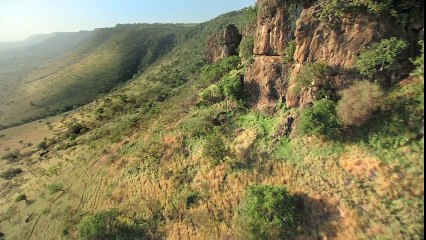 Félins , le royaume du courage  VF - Clip
