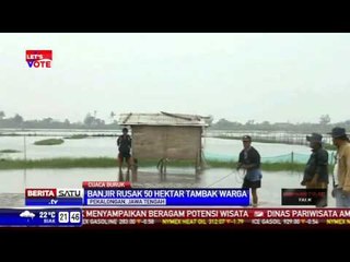 Banjir Rusak Puluhan Hektare Tambak di Pekalongan