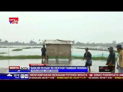 Banjir Rusak Puluhan Hektare Tambak di Pekalongan