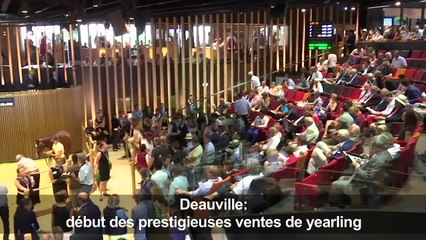 Deauville: début des prestigieuses ventes de yearlings