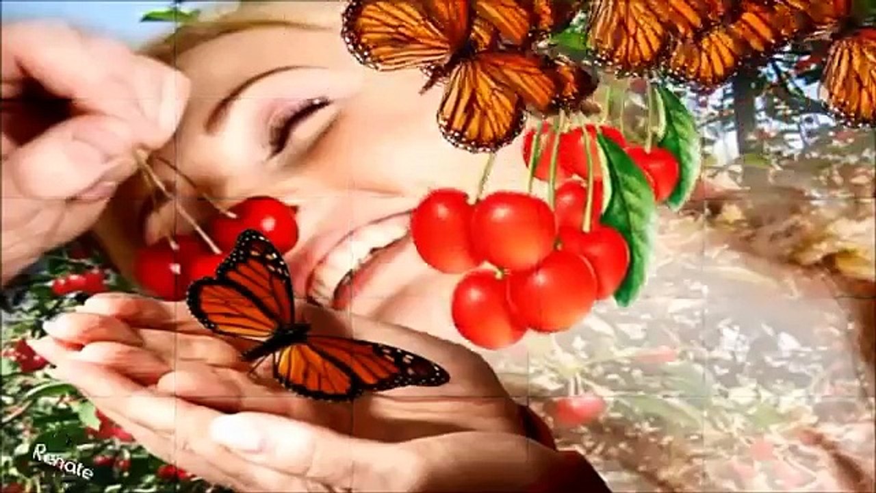 STEFFEN PETER HAAS   ╭❤╮   WAHRE LIEBE   ╭❤╮-ETEBBCJtHP8-HQ