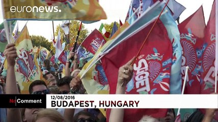 A night on the Sziget festival