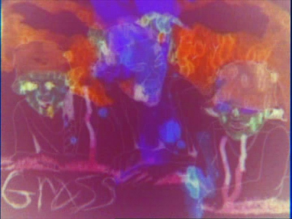 Animal Collective - Grass