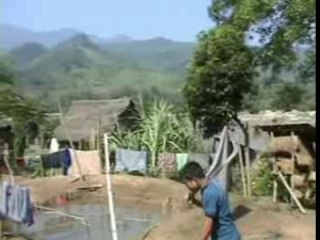 Un village hmong