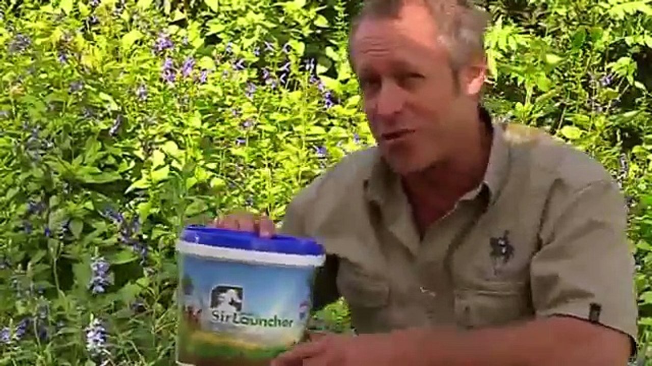 Launch Your Lawn Sunshine Coast and Brisbane