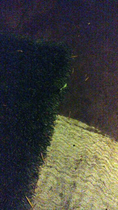Green Guy at work