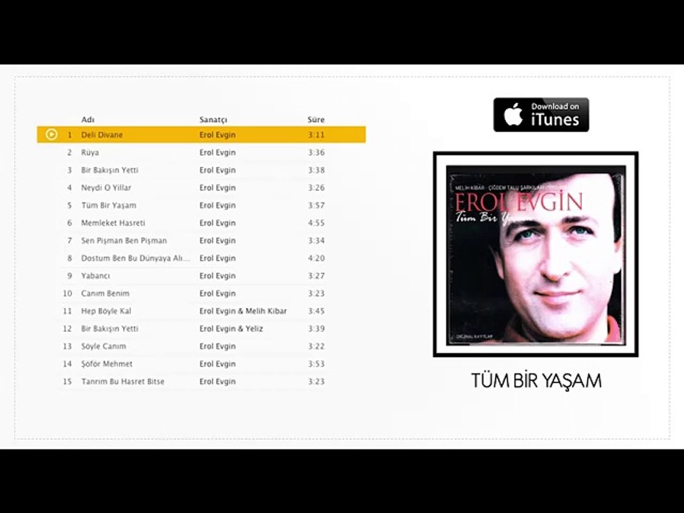 Erol Evgin - Deli Divane