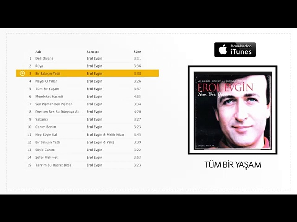 Erol Evgin - Bir Bakışın Yetti