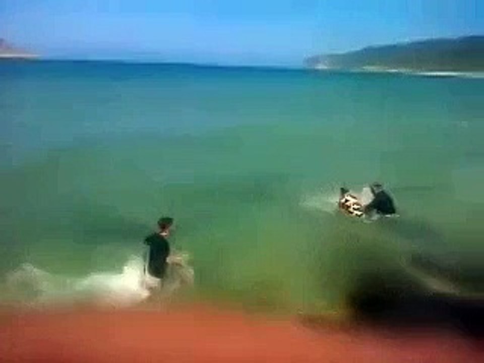 Serpme ile köpek balığı avlayan kafadarlar