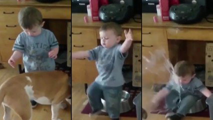 Cet enfant tombe dans la gamelle du chien