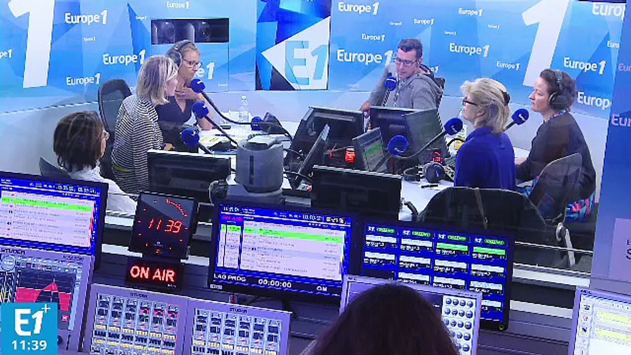 L’épillet, une graine nocive pour les chiens et les chats en balade