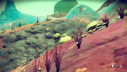 PS4-Live-Übertragung Nms (3)