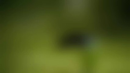 Android Apps and Games trailer