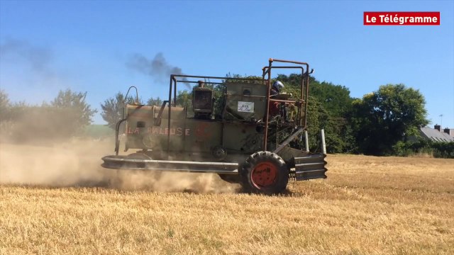 Saint-Jean-Trolimon (29). Quand les moissonneuses-batteuses font le show !