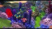 Le Monde de Nemo (3D) - Trailer VF