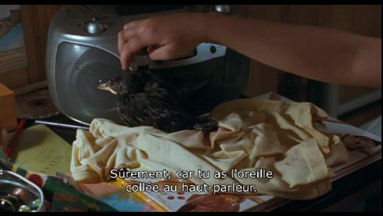 Little bird - Extrait (1) VOST