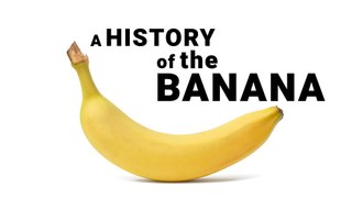 The Surprising History of Bananas in Under 2 Minutes