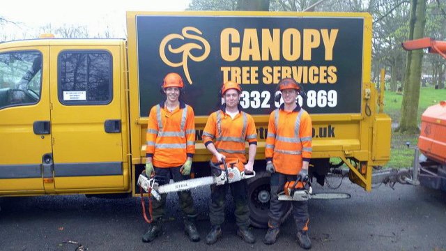 Professional Tree Cutting Nottingham | Canopy Tree Services Nottingham | 0115 832 0247
