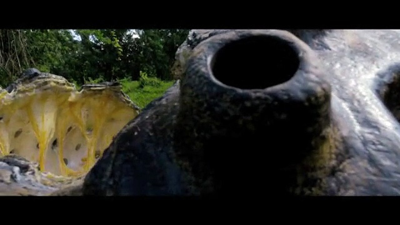 After Earth - VOST