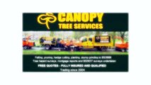 Best Tree Surgeon In Nottingham | Canopy Tree Services Nottingham | 0115 832 0247