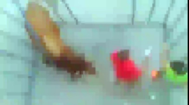 Myślał, że jest bezpieczny za metalowymi kratami.