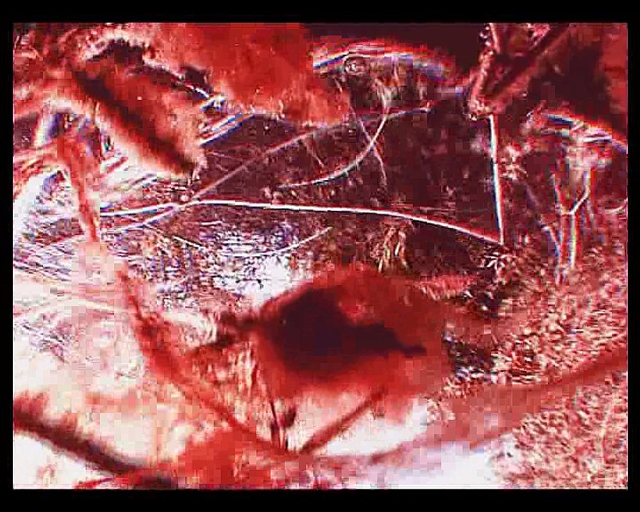 Ataraxia - Fountains