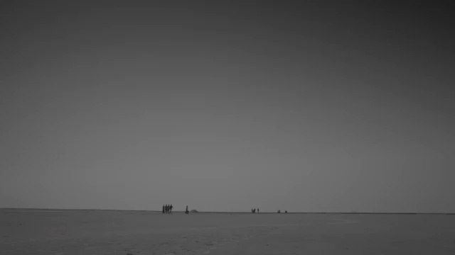 Park hyo shin - Wild Flower (야생화)