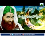 Pakistan Hamari Pehchan - 14 August - Maulana Ilyas Qadri