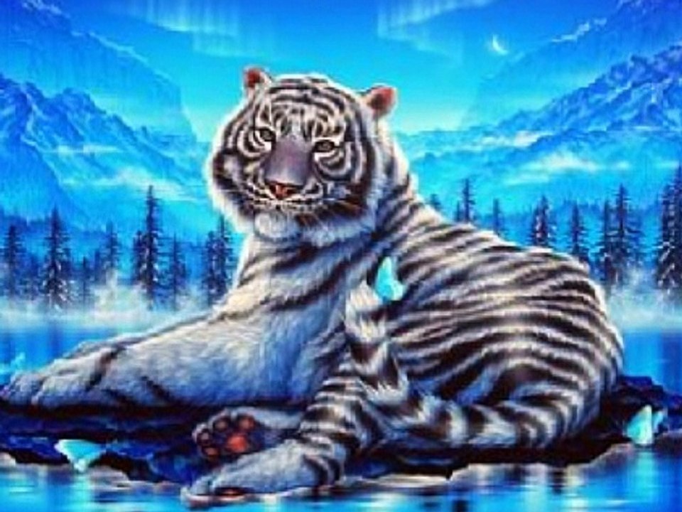 best lion and tiger