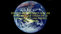 EVOLUCIONISTAS NO PUEDEN RESPONDER A ESTA PREGUNTA. 
