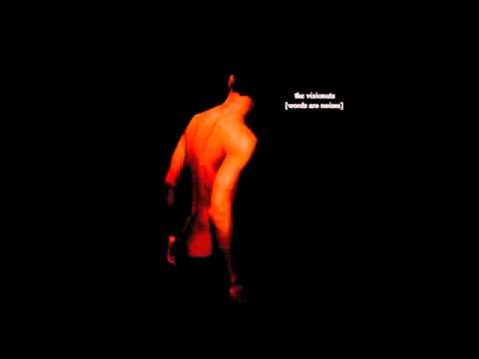 The Visionuts, Words Are Noises - The Melody (And Its Ultimely Death)