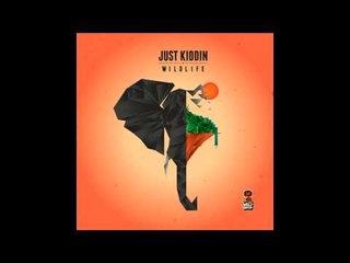 Just Kiddin - Mammal - Kosmetique remix