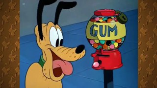 Funny Animals Cartoons - Donald Duck Cartoons & Chip n Dale, Bobo the Elephant!