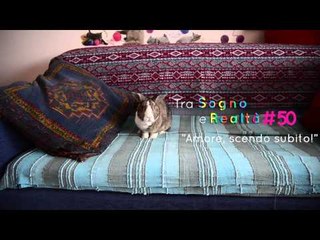 Peppino (in arte Bugs Bunny) per Tra Sogno e Realtà #50 - L'EVENTO