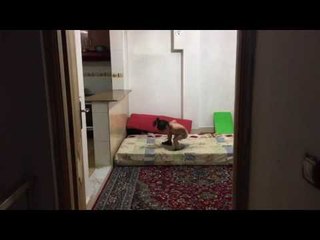 Arat Takes Time Out of Practicing to Send a Message