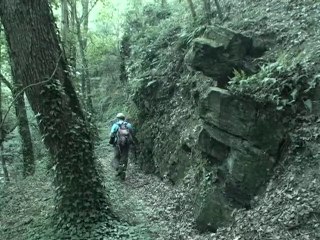 Autour du ruisseau Bozançon - St Maurice-sur-Dargoire 69440