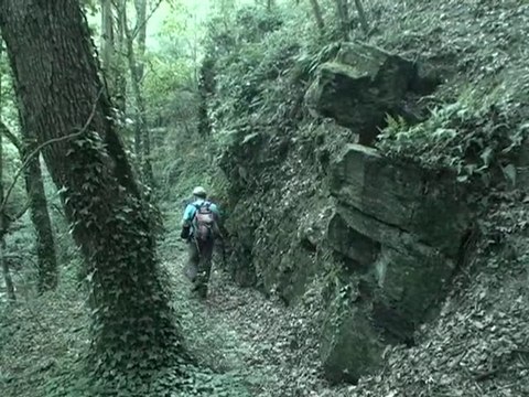 Autour du ruisseau Bozançon - St Maurice-sur-Dargoire 69440