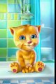Talking Tom Cat  Punjabi Billi Very Funny Video