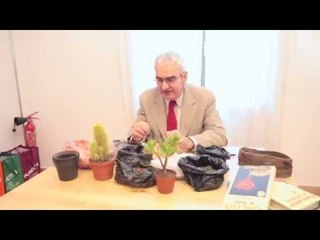 Casa Elio e le Storie Tese: Mangoni e le piante grasse