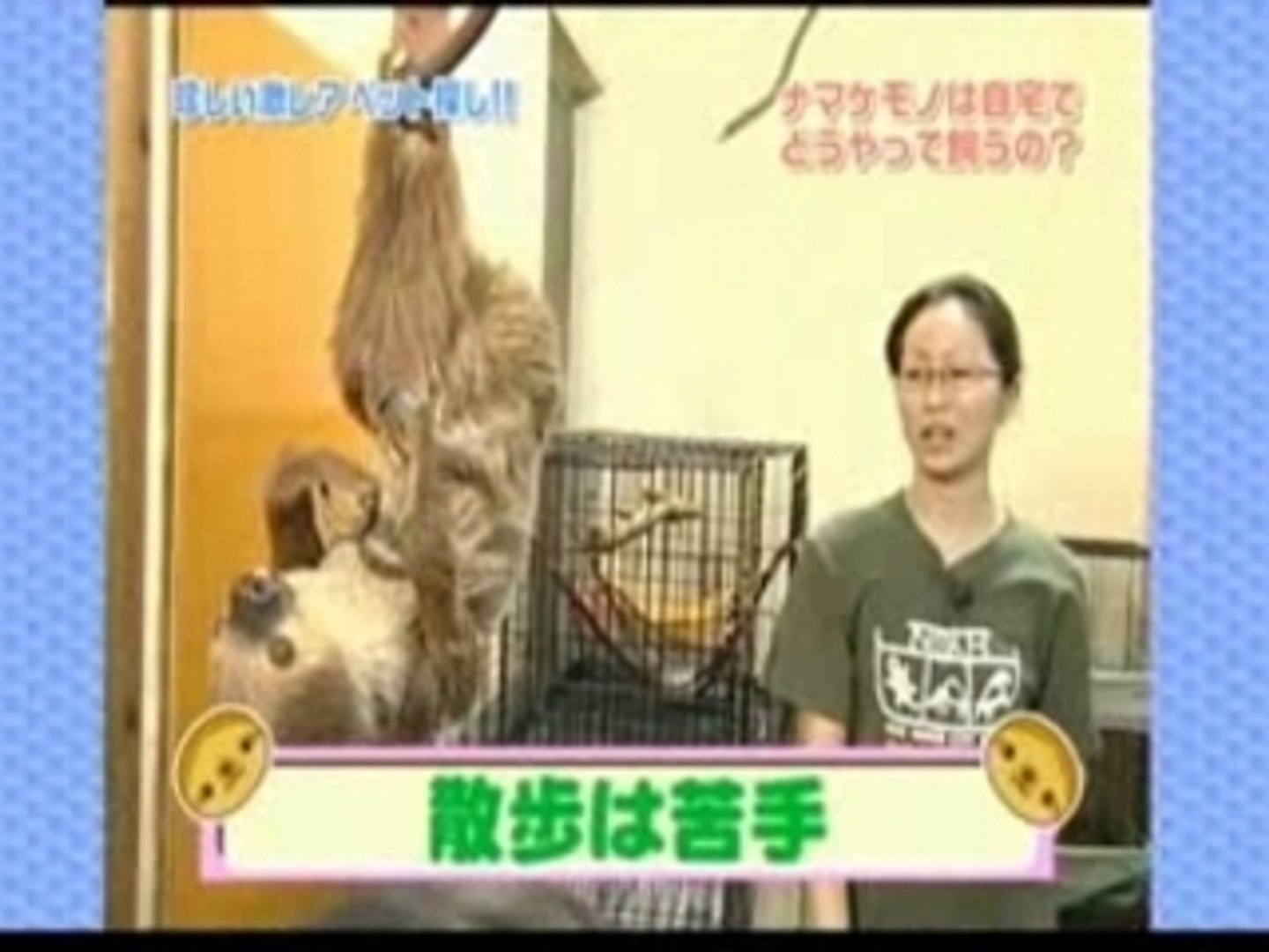 ⁣2007.07.21 pets
