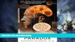 Full [PDF] Downlaod  The Wisdom Paradox: How Your Mind Can Grow Stronger As Your Brain Grows