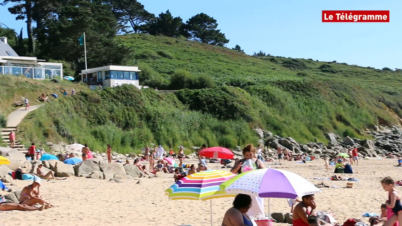 Lannion. Alerte dauphin à la plage de Beg Leguer, la baignade interdite