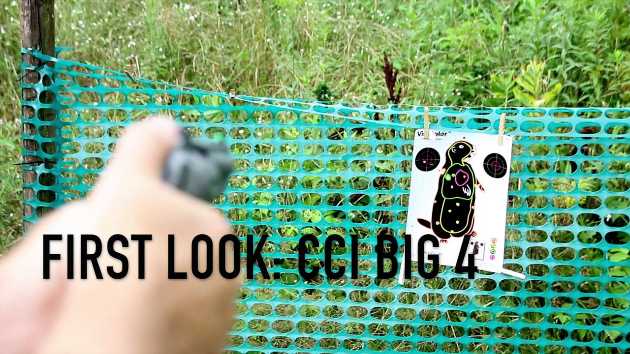 CCI Big 4