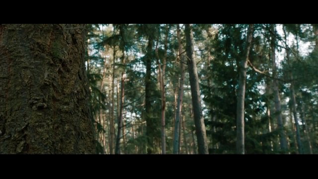 Hansel & Gretel : Witch Hunters - Extrait (4) VO