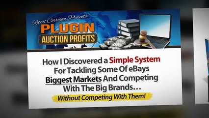 Plugin Auction Profits Review